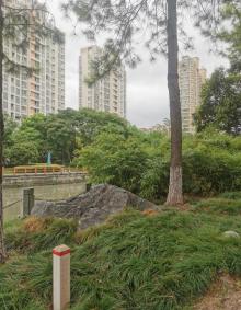 中山滨河公园3