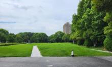 巴黎都市公园3