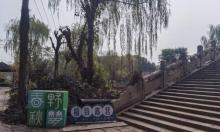 春野秋梦・金山农民画村精致露营1