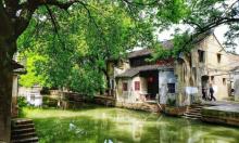芦墟大渠荡生态公园6