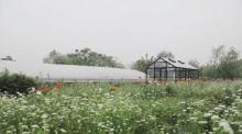 植物图书馆1