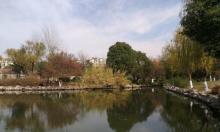 泗洲公园2