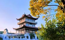 观潮阁4