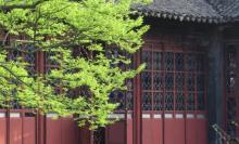 张謇故里景区3