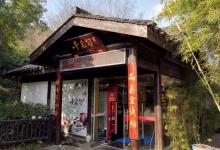 茶岛6