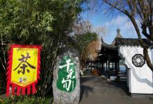 茶岛7