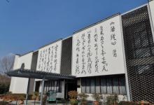 茶岛3