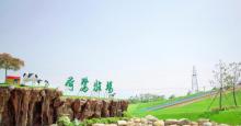 荷鹭牧场1