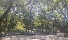 清波公园1