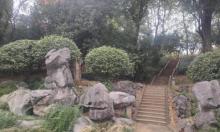 城北景观公园2