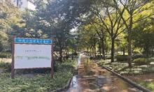 回溪公园(回溪街)4