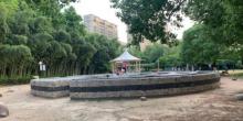 江滨公园6