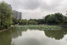 中轴景观公园2