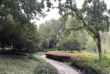 中轴景观公园3