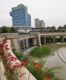 中轴景观公园8