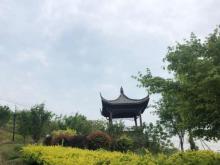 横山公园5