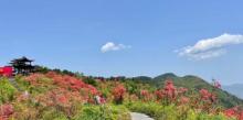 高姥山省级度假区2