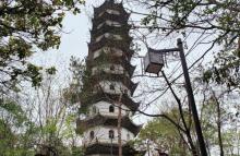兰荫山2