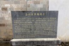 玉山古茶场4