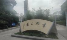 青湖公园2