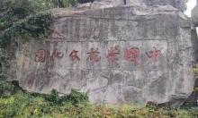 中国茶花文化园3