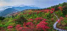 高姥山1
