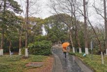 唐闸公园2