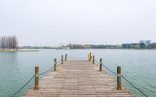 东沙湖生态公园7