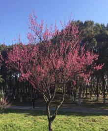东沙湖生态公园11
