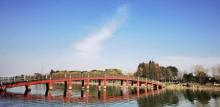 东沙湖生态公园13