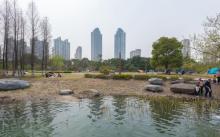 东沙湖生态公园6