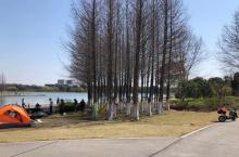 东沙湖生态公园18