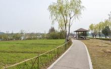 东沙湖生态公园4