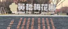 黄桥梅花园1