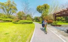 阳山桃花岛景观公园6