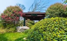 阳山桃花岛景观公园4