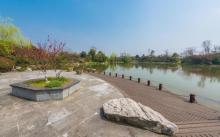 阳山桃花岛景观公园5