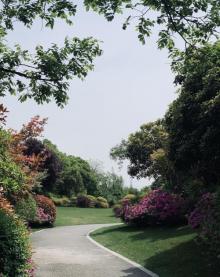 阳山桃花岛景观公园8