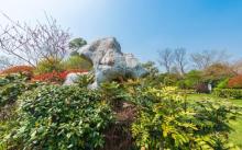 阳山桃花岛景观公园7