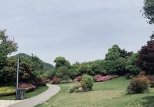 阳山桃花岛景观公园9