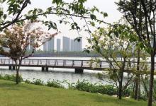 大渔湾湖滨风情商业街区13