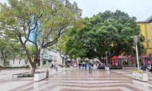 江阴人民路步行街2