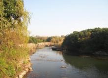 蠡湖大桥公园2