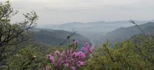 茗岭山1