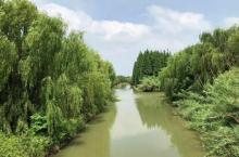 南湖湿地公园4
