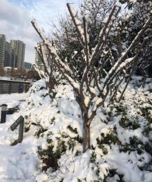 武进新天地公园15