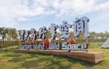 双山星光岛?野享空间露营地13