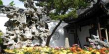 九狮峰8
