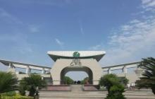 阳澄湖水上公园14