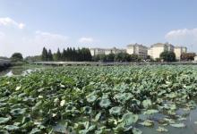 阳澄湖水上公园11